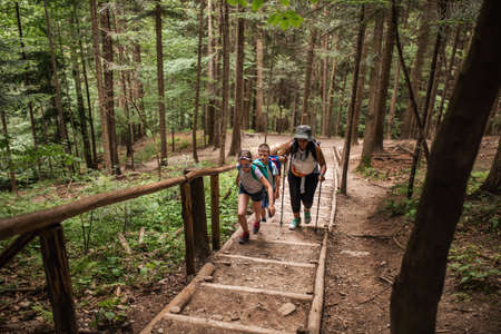 Diverse people hiking up trail stairs in a forestの写真素材
