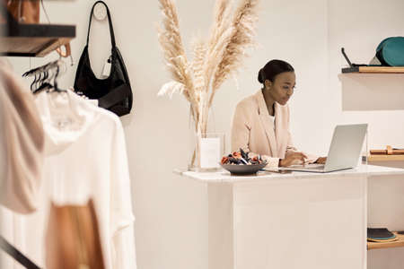 African American female entrepreneur using a laptop in her boutiqueの写真素材