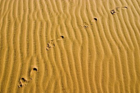 footprints on dune