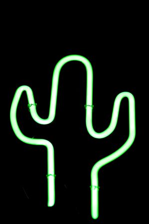 neon sign shaped like suaguaro cactusの写真素材