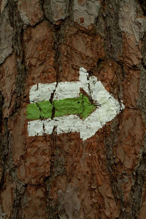 marking of the green tourist pathの写真素材