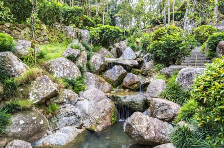 Cool stream throught mossly stoce and rock from mountainの写真素材