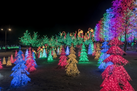 LED Treeの写真素材