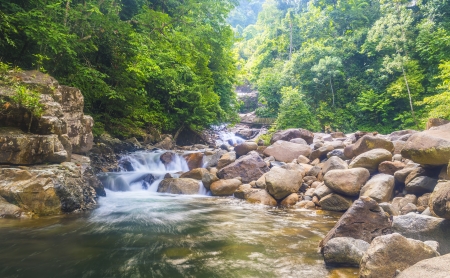 Natural water stream from waterfall in deep of tropical forestの写真素材