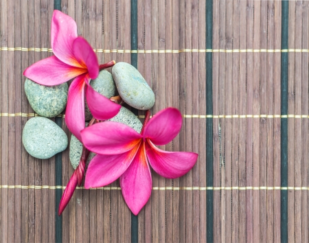 Pink plumeria on black bamboo blindの写真素材