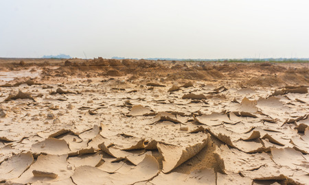 Dry soil crack texture