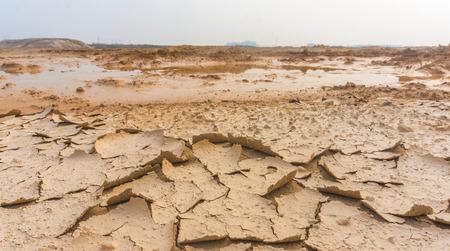 Dry soil crack texture