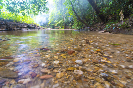 Water stream at tropical forest