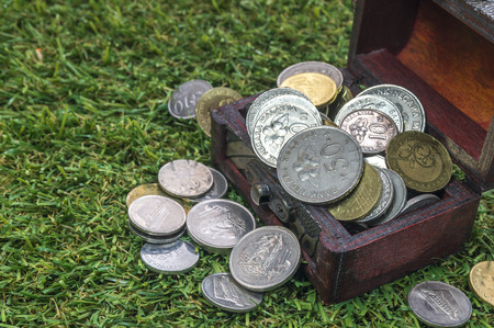 Treasure chest with coins and green grassの写真素材