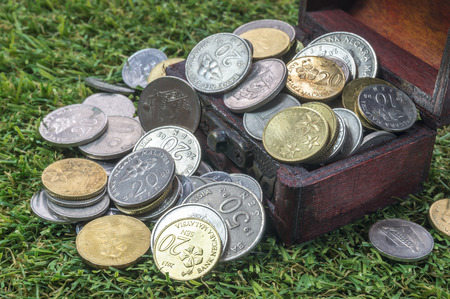 Treasure chest with coins and green grassの写真素材