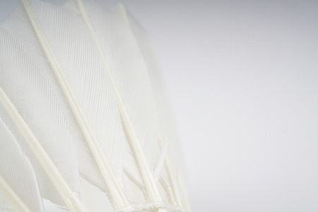 Shuttlecock with white backgroundの写真素材