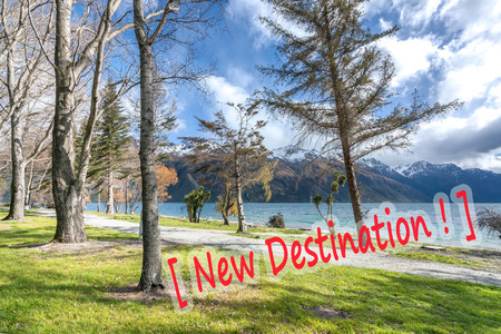 Dead tree at garden parkの写真素材