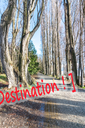 View of jogging track after winter season with nature morning sunlight at wanaka lake, New Zealandの写真素材