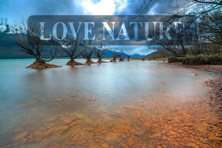 The Famous Willow Trees of Glenorchy, New Zealandの写真素材