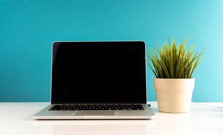 Laptop and green grass with ecosystem concept.の写真素材