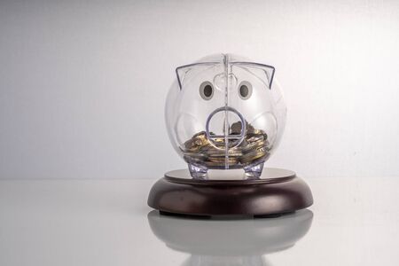 Piggy bank with white background with educational concept.