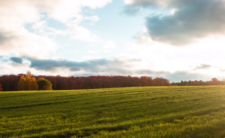 A sunrise over a filed in canada. Autumnal seasonの写真素材