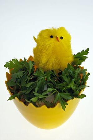 Easter background with decorative chickens in the eggの写真素材