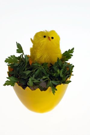 Easter background with decorative chickens in the eggの写真素材