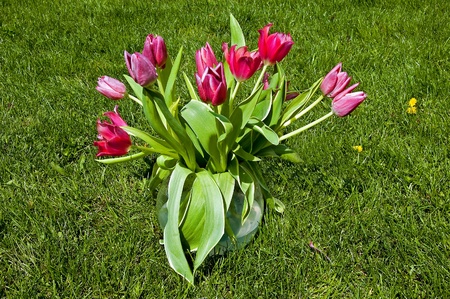 Beautiful flowers in a basket close upの写真素材