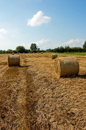 Landscape with blue cloudy sky and hay ballsの写真素材