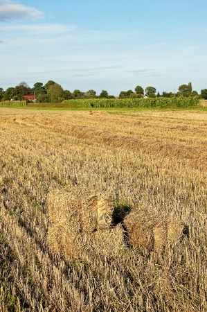 Landscape with blue cloudy sky and hay ballsの写真素材