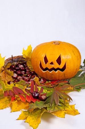 Halloween pumpkin with autumn leaves on white backgroundの写真素材
