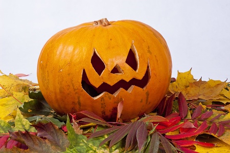 Halloween pumpkin with autumn leaves on white backgroundの写真素材