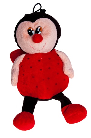 Plush ladybug with a heart for all the love on a white backgroundの写真素材