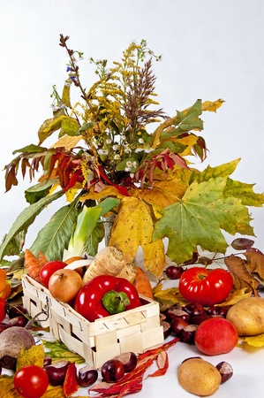 Colorful fresh group of vegetables for a balanced diet on white backgroundの写真素材