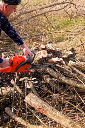 broken tree cutting near the groundの写真素材