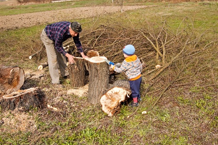 Grandfather with grandson by felling trees felledの写真素材