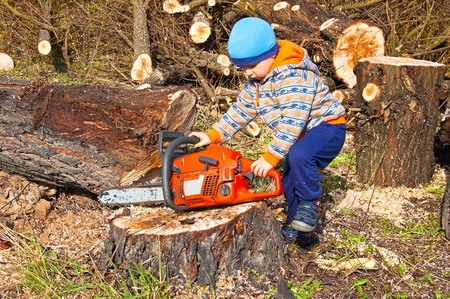 Saw in the hands of a small child when felling trees felledの写真素材
