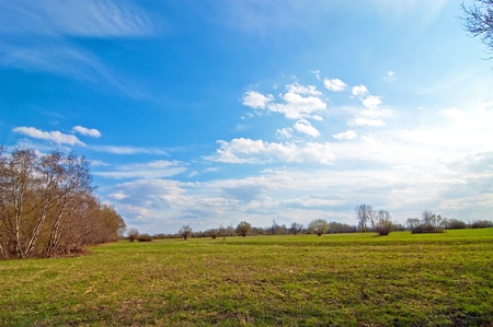 Rural landscape with blue sky on the background fieldsの写真素材