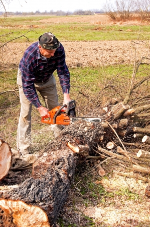 broken tree cutting near the groundの写真素材