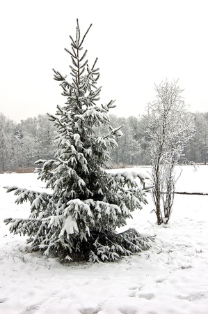 Winter scene with park benchの写真素材