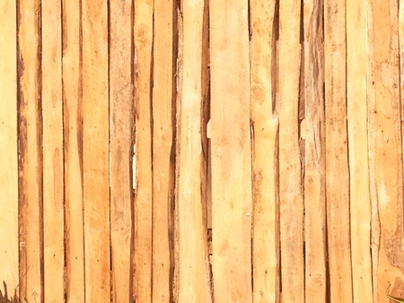 Black groundの素材