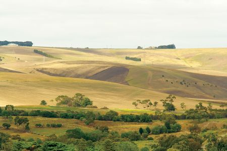 Country landscapeの写真素材