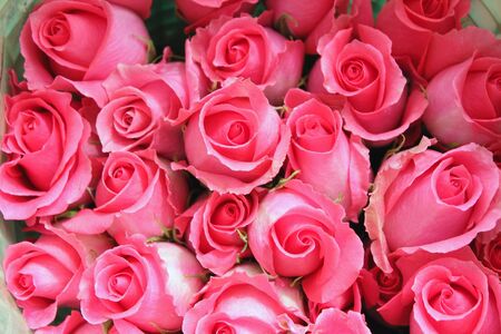 Big bunch of pink roses from the topの写真素材