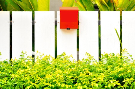 White fenec green leaf and red mail boxの写真素材