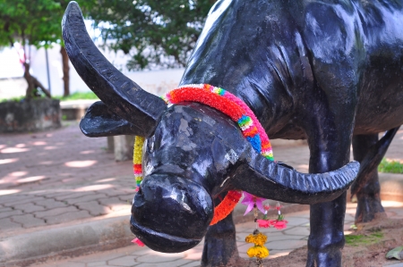 Buffalo metal statueの写真素材