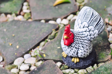 chicken dollの写真素材