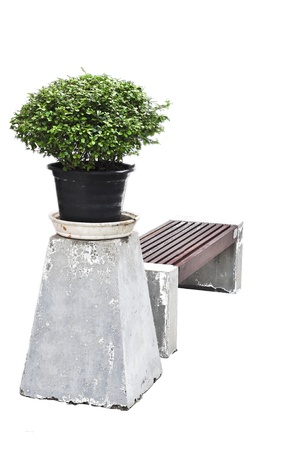 chair in gaden die cutの写真素材
