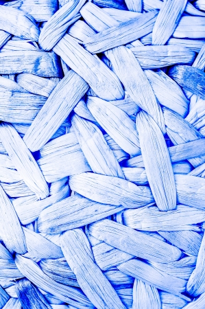 blue water hyacinth craft