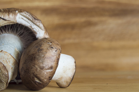 Mushrooms over wood background