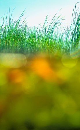 Between air and water. Photos of sea shoal of Baltic seaの写真素材