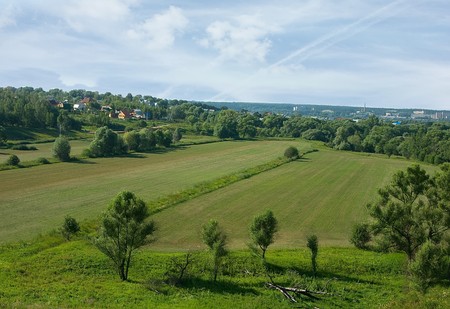 Cross-country terrain with trees and bushes in the afternoon