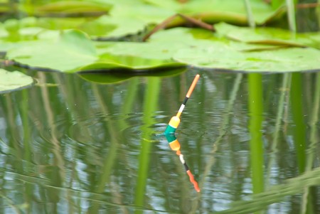 A series: fishing with a float in cane creeksの写真素材