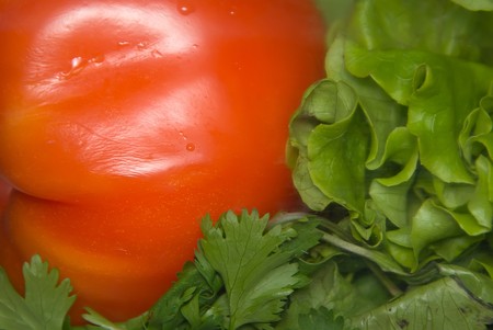 tomatoの写真素材
