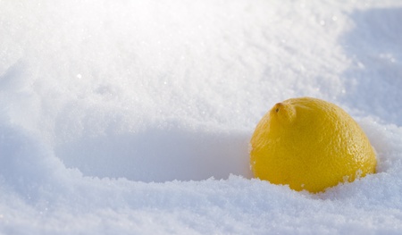 Lemon In snow の写真素材